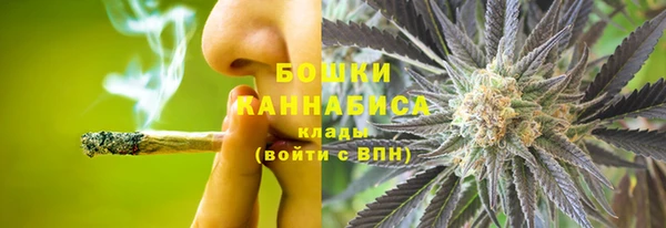 ГАЛЛЮЦИНОГЕННЫЕ ГРИБЫ Алексин