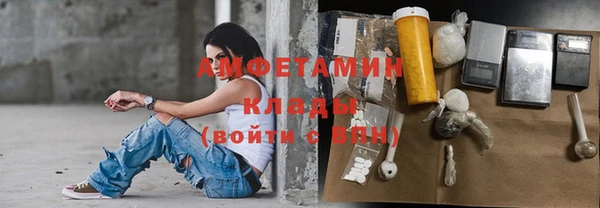 ГАЛЛЮЦИНОГЕННЫЕ ГРИБЫ Алексин