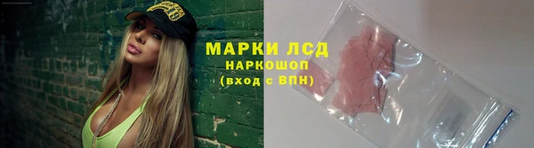 ГАЛЛЮЦИНОГЕННЫЕ ГРИБЫ Алексин