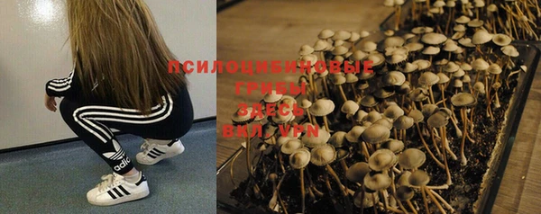 метадон Алексеевка