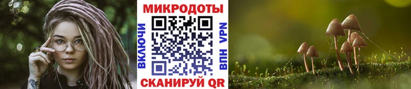 Псилоцибиновые грибы Psilocybine cubensis  Хотьково 